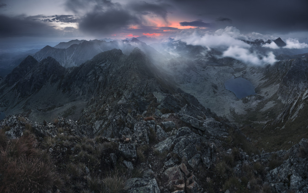 In The Morning von Karol Nienartowicz