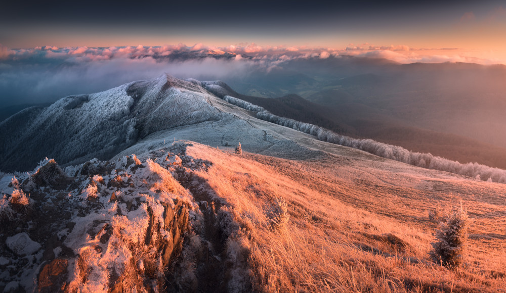 First day of the Winter von Karol Nienartowicz