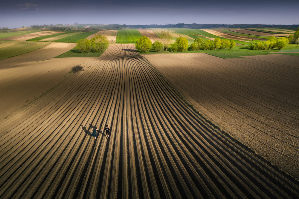 Field von Karol Nienartowicz