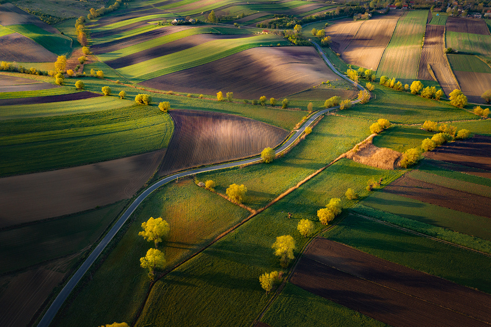 Fields von Karol Nienartowicz