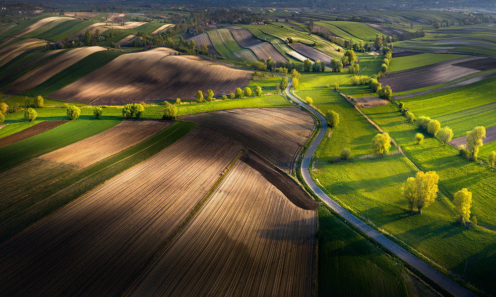 Fields von Karol Nienartowicz