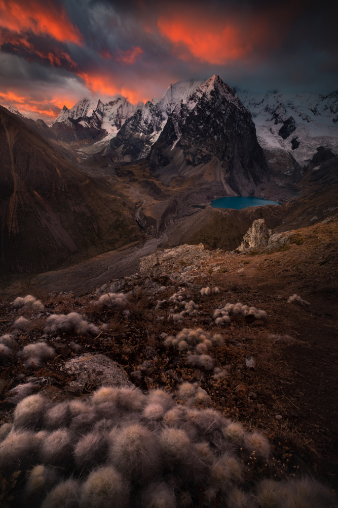 Huayhuash Evening von Karol Nienartowicz