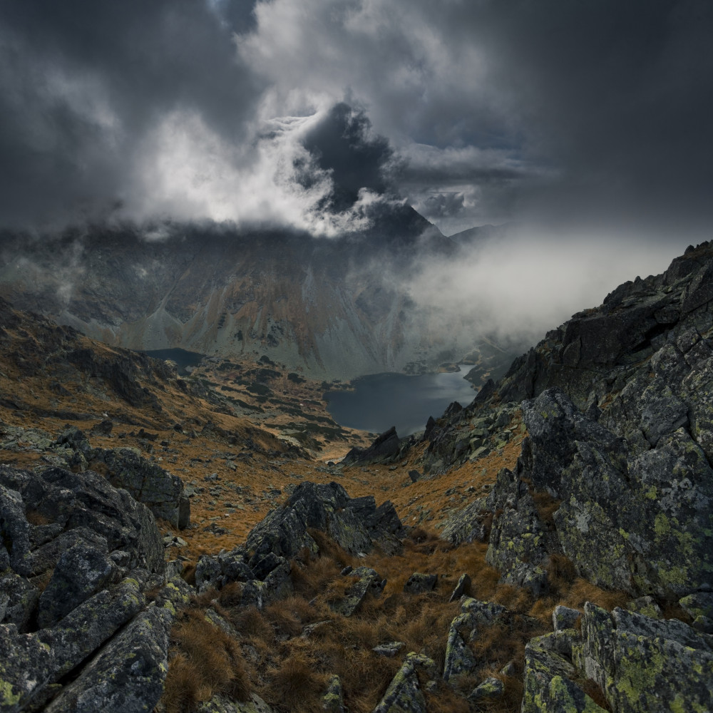 In The Valley von Karol Nienartowicz