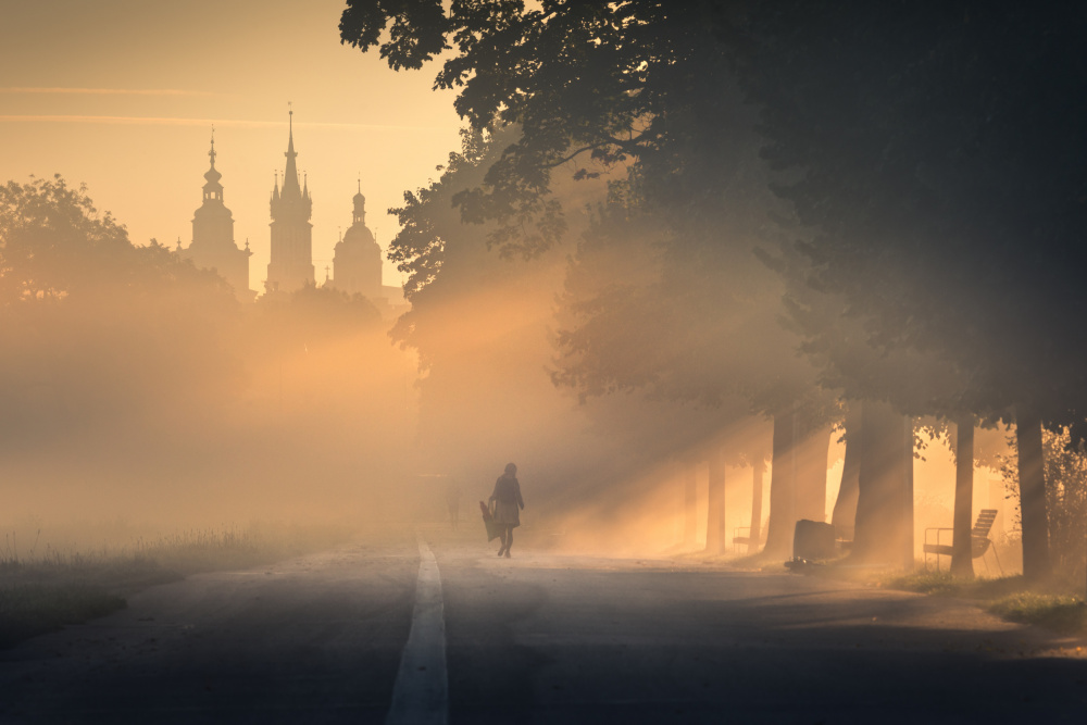 Kraków in the Fog von Karol Nienartowicz