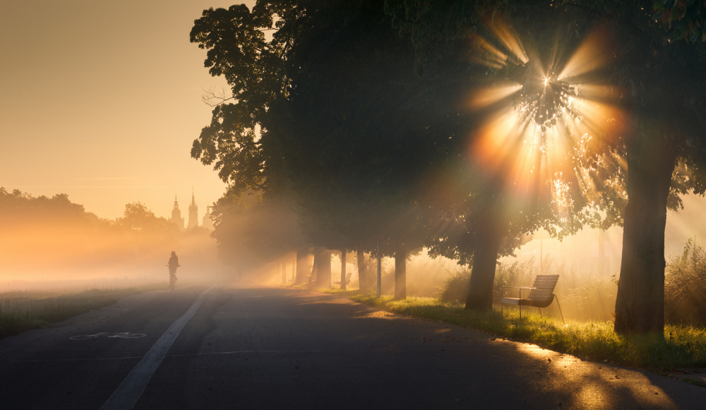 Kraków in the Fog von Karol Nienartowicz