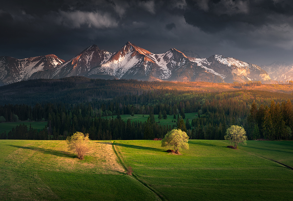 After storm von Karol Nienartowicz