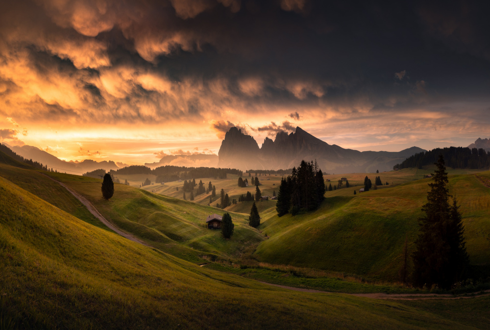 Alpe di Siusi von Karol Nienartowicz