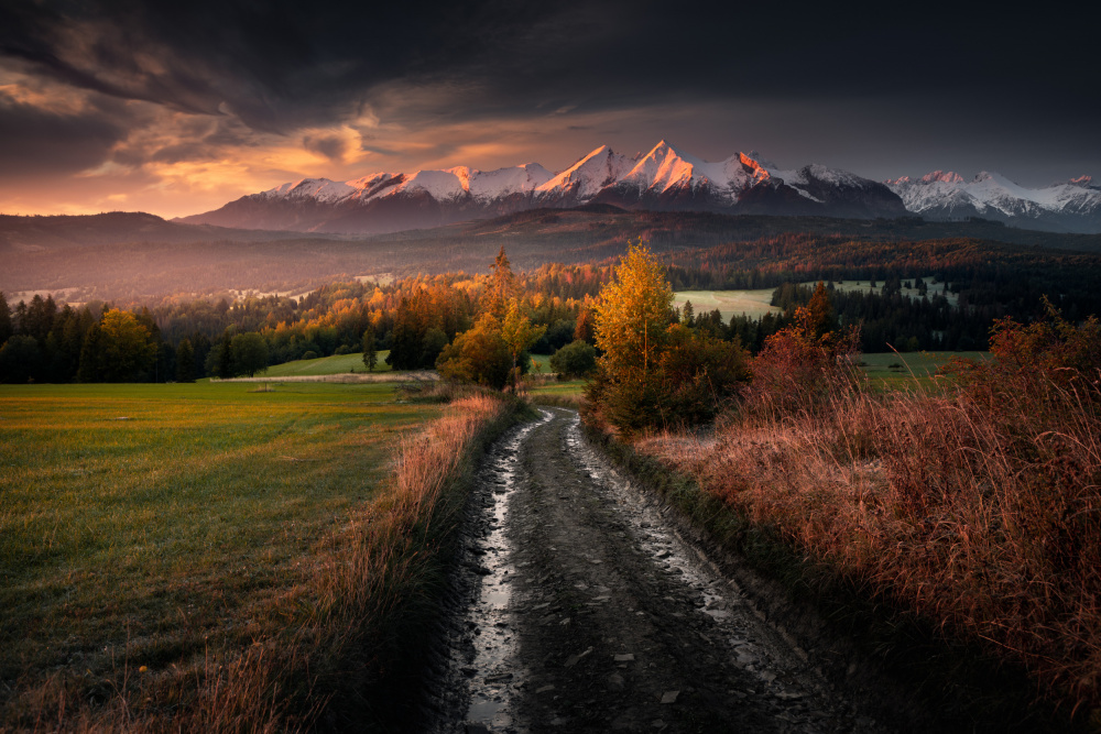 Tatry von Karol Nienartowicz