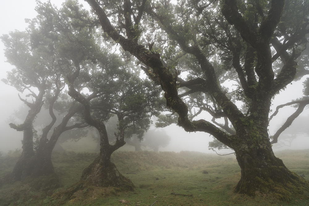 Three wizards von Karsten Wrobel