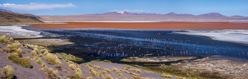 Laguna colorada von Karsten Wrobel