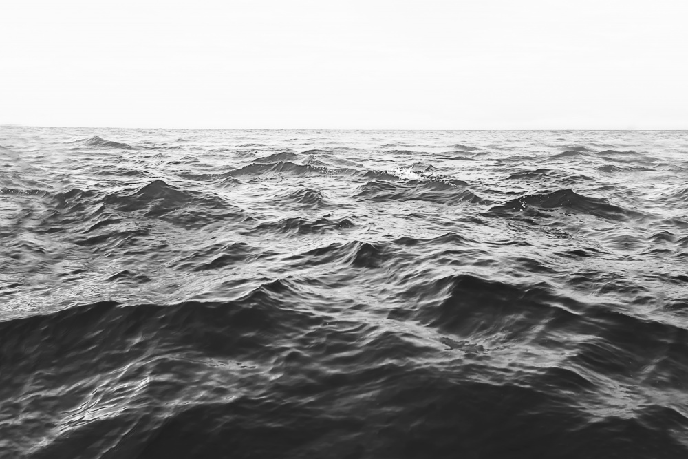 Wavy Horizon BW von Kathrin Pienaar