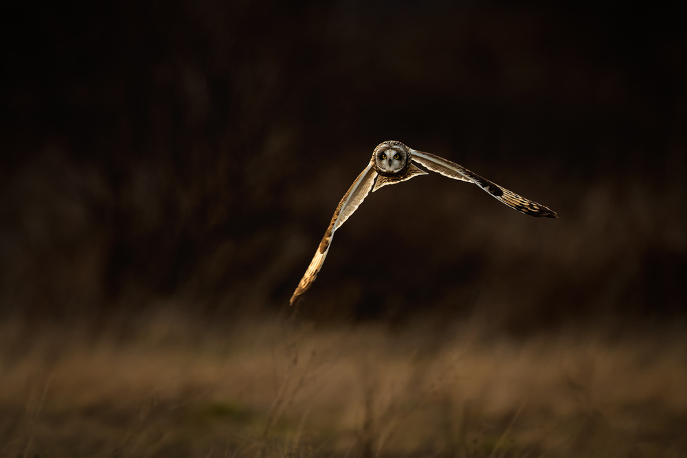 Flying to me von Katsu Uota