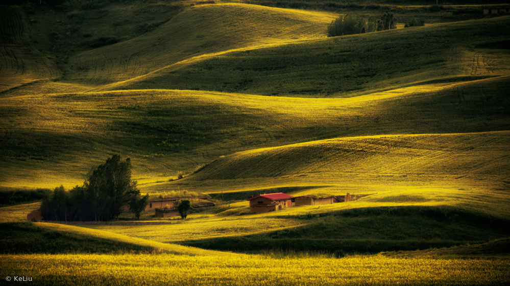 Homeland von Ke Liu