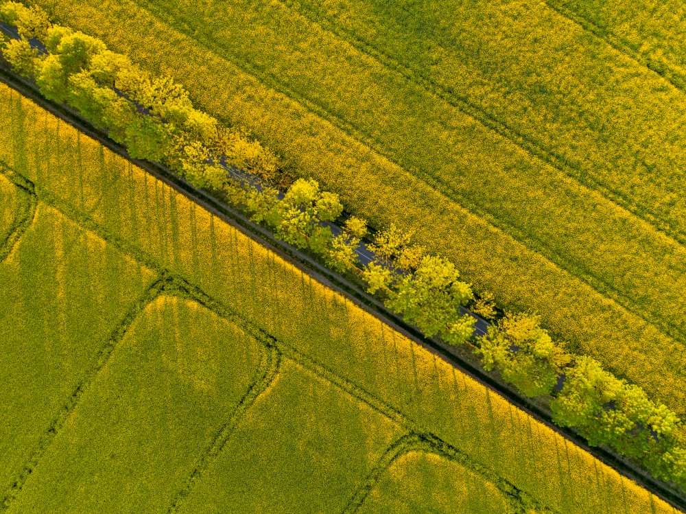 Through the fields von keller