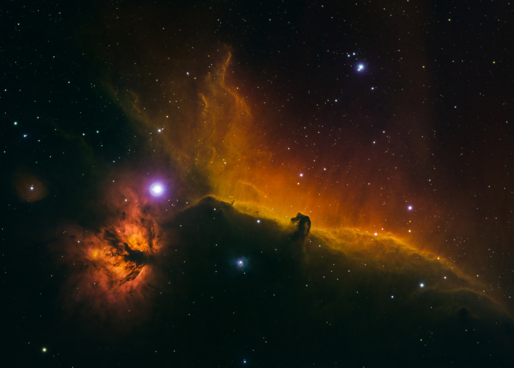 The Horsehead and Flame Nebulae von Ken Fong