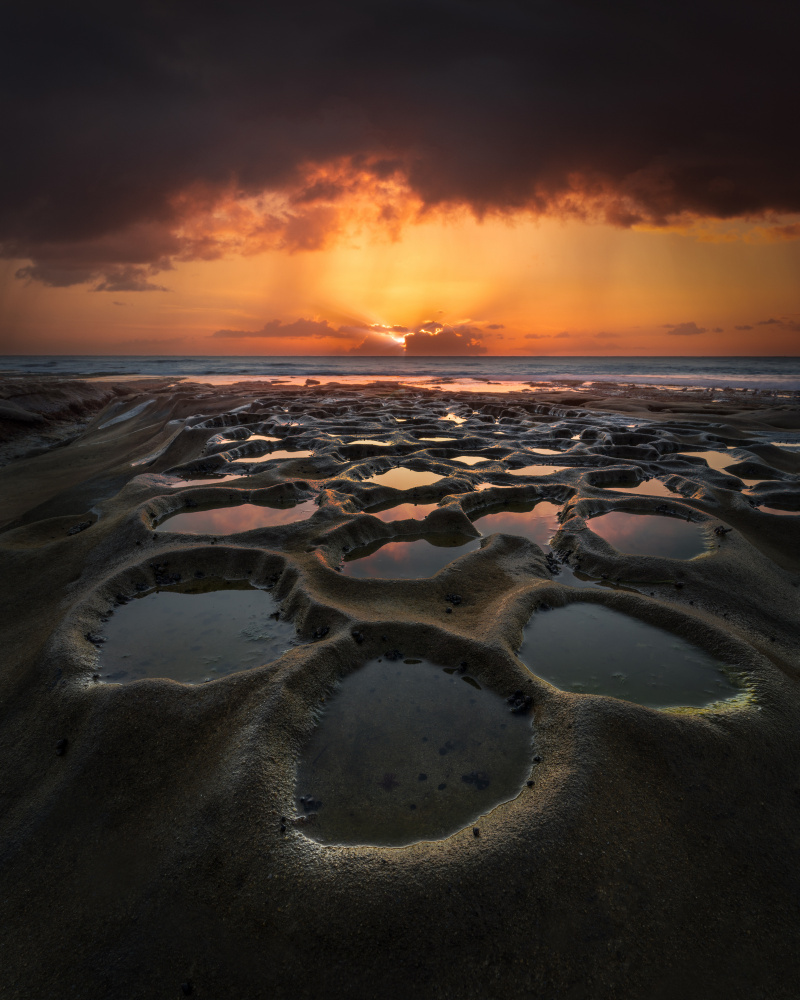 La Jolla Landscape von Ken Fong