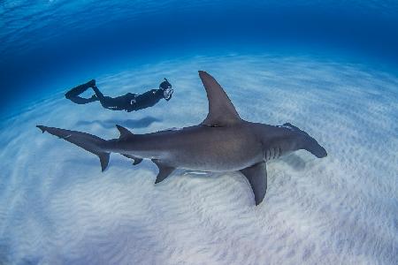 Relaxed swim