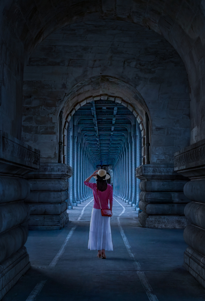 Pont de Bir-Hakeim in Blue von Kenneth Zeng