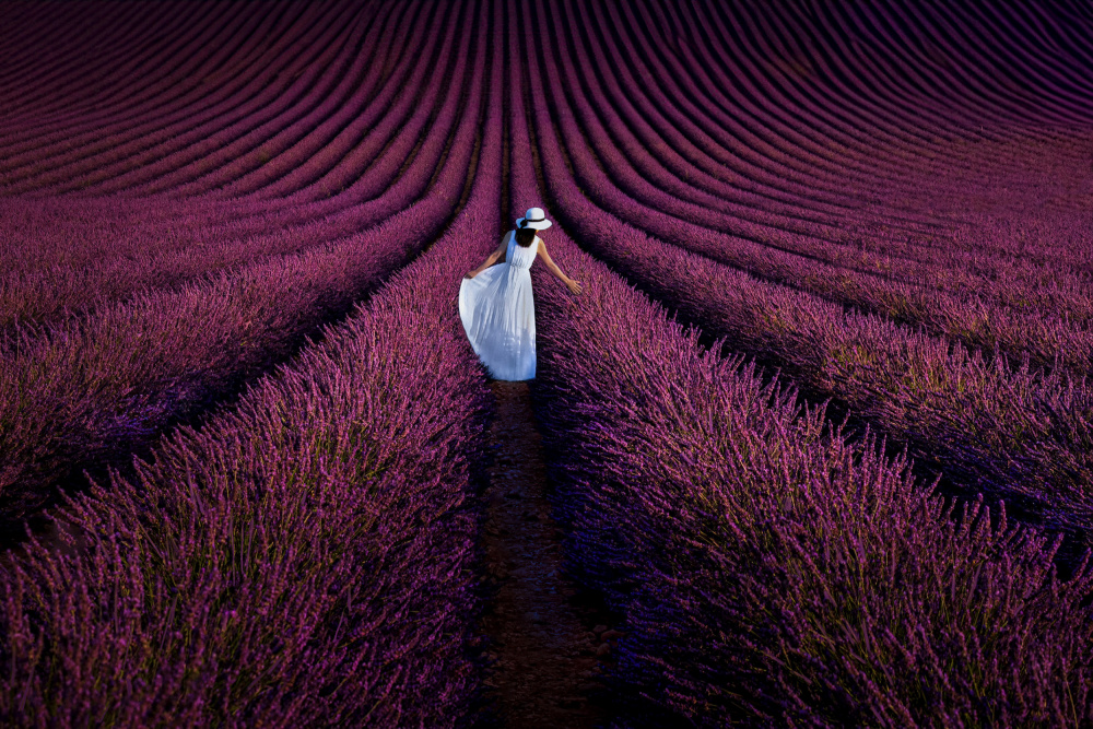 Provence Ultra Purple von Kenneth Zeng