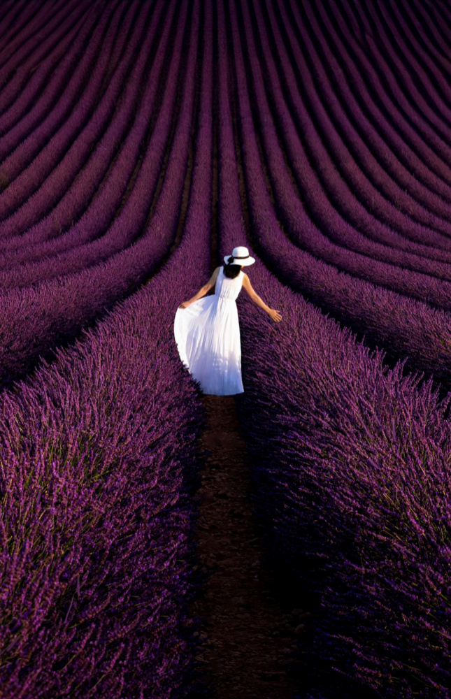 Provence Ultra Purple von Kenneth Zeng