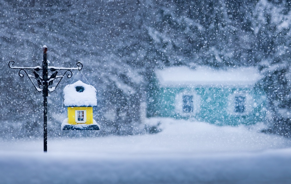 Snowy Wonderland von Kenneth Zeng