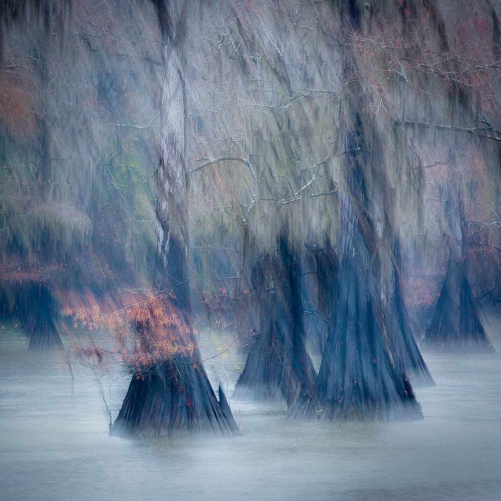 In the rain with strong wind von Keren Wang