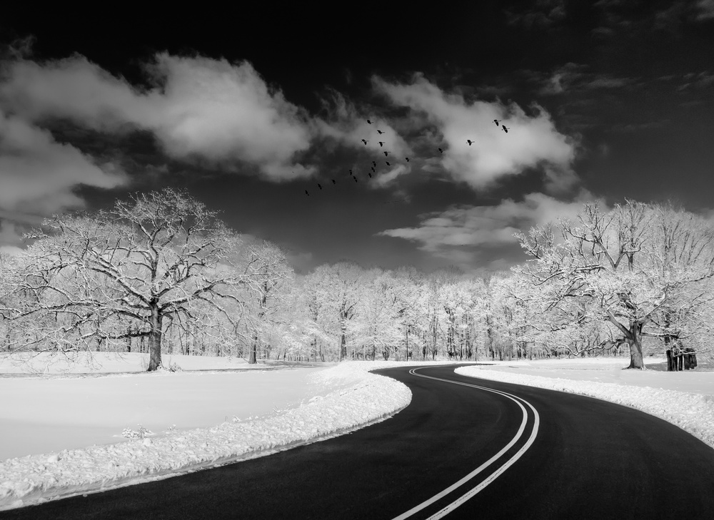 Winding Road von Kevin Wang