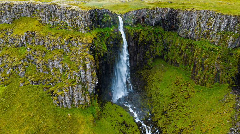 White belt over green von Kevin Xu