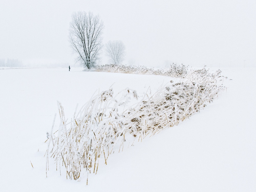 The white calm von Khai Nguyen