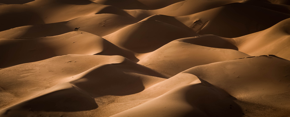 Lost in the golden dunes von khalid jamal