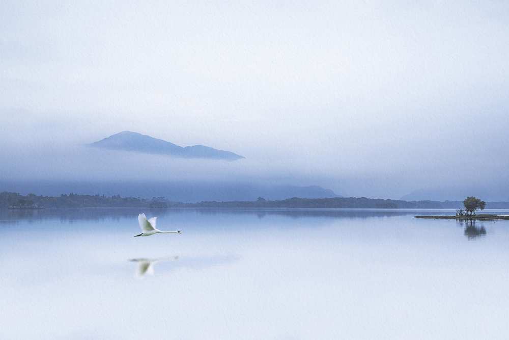 TRANQUILITY von Kieran O Mahony