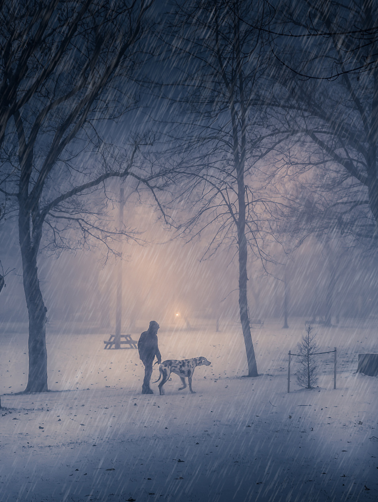 A winter storm walk in the park von Kimberly