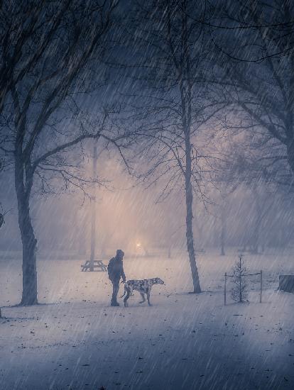 A winter storm walk in the park