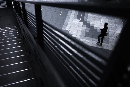 The Indigo Silhouette Through the Handrail Gap