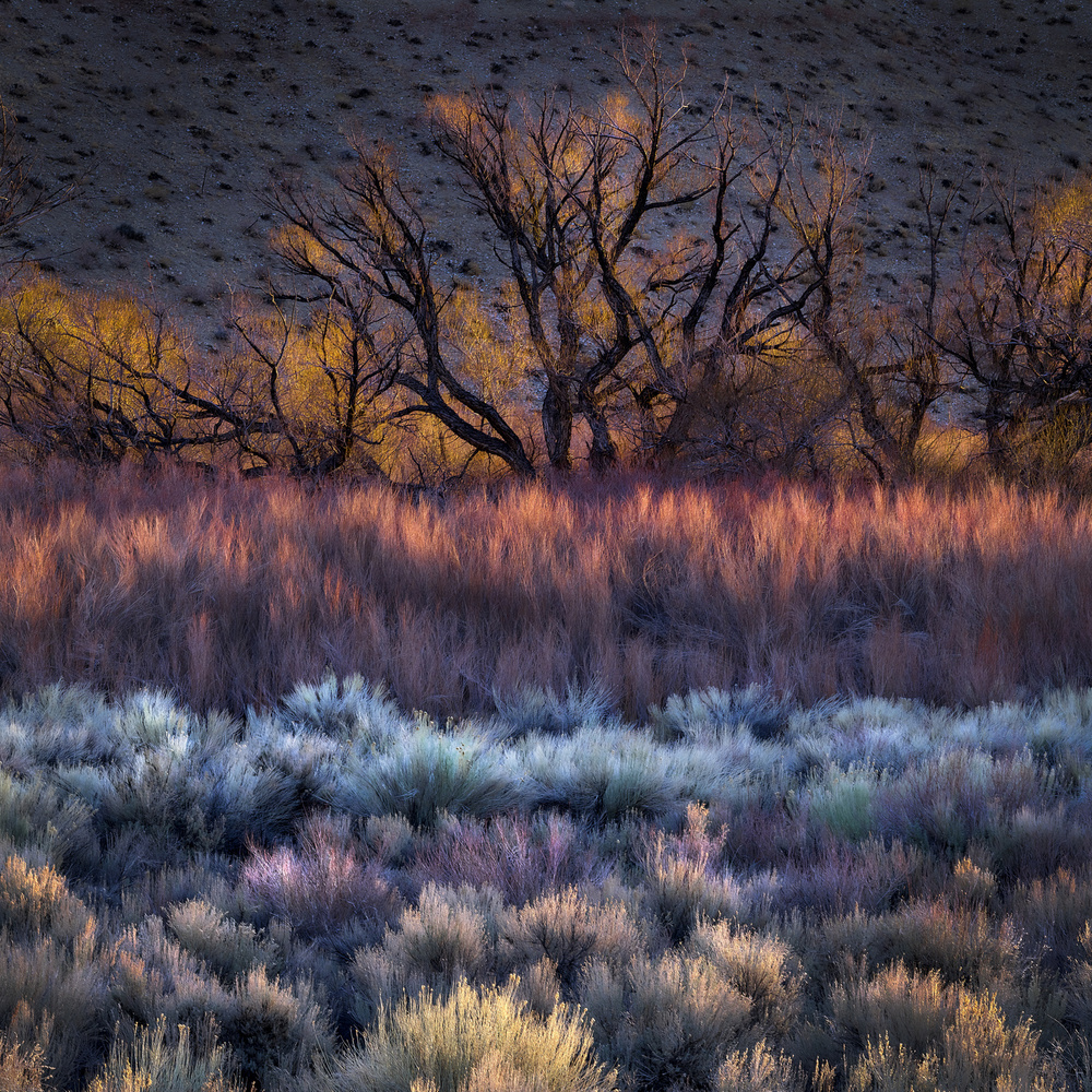 Buttermilk Hills Morning von Kirbyturnage