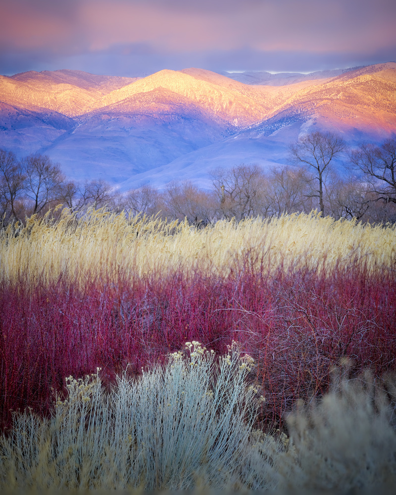 Field Layers von Kirbyturnage