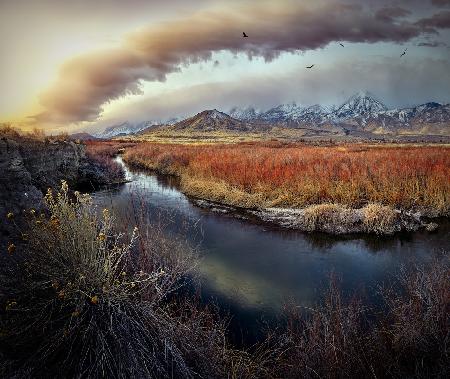 Owens River at Sunrise