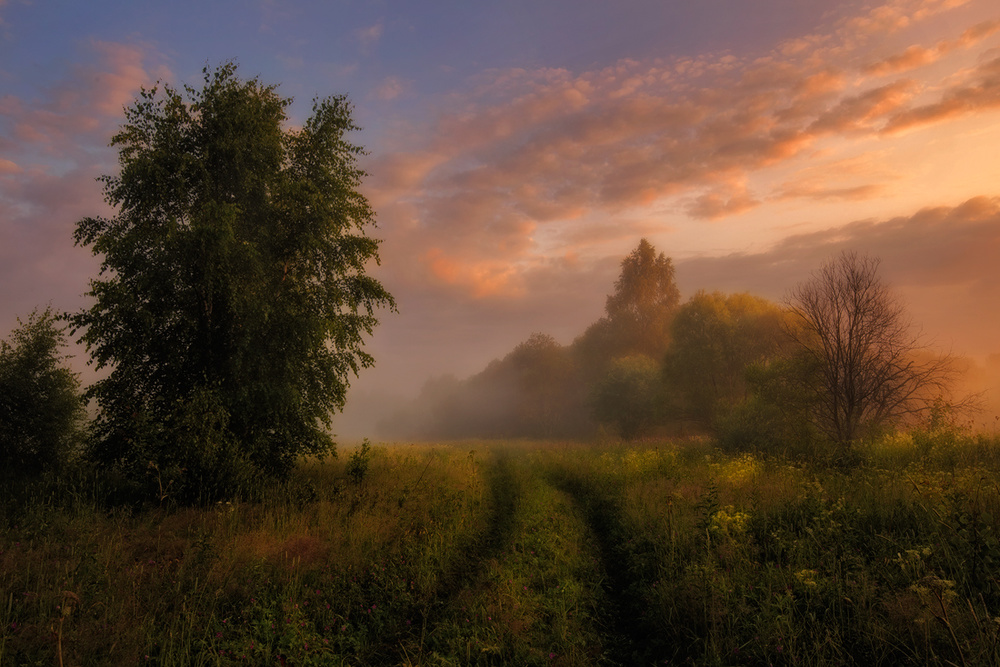 Misty Dawn von Kirill Volkov