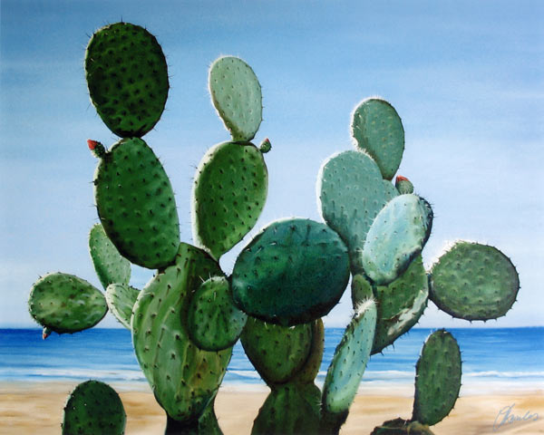 Nopal de la Mar von James Knowles