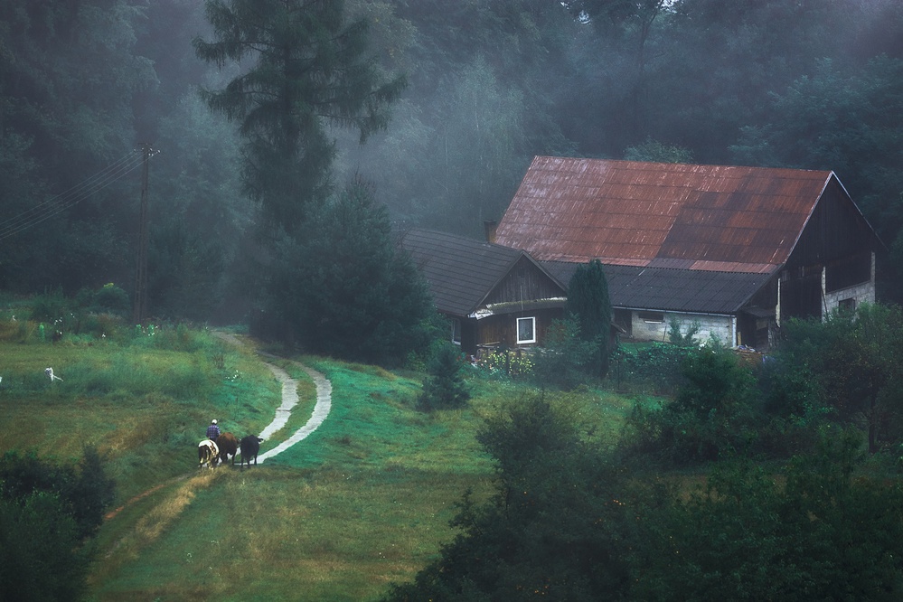 Return... von Konrad Szuszkiewicz