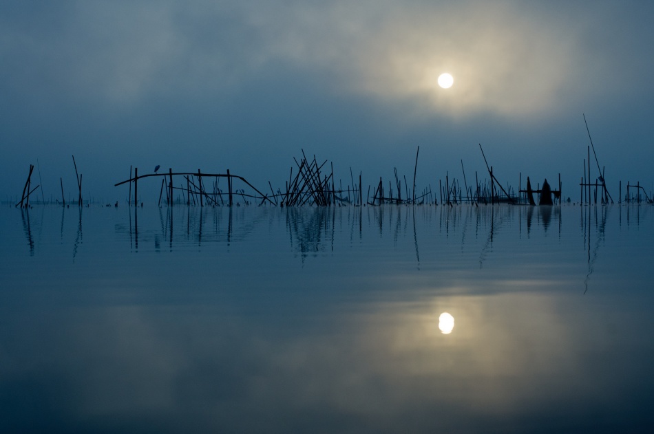 blue sun von Kouji Tomihisa