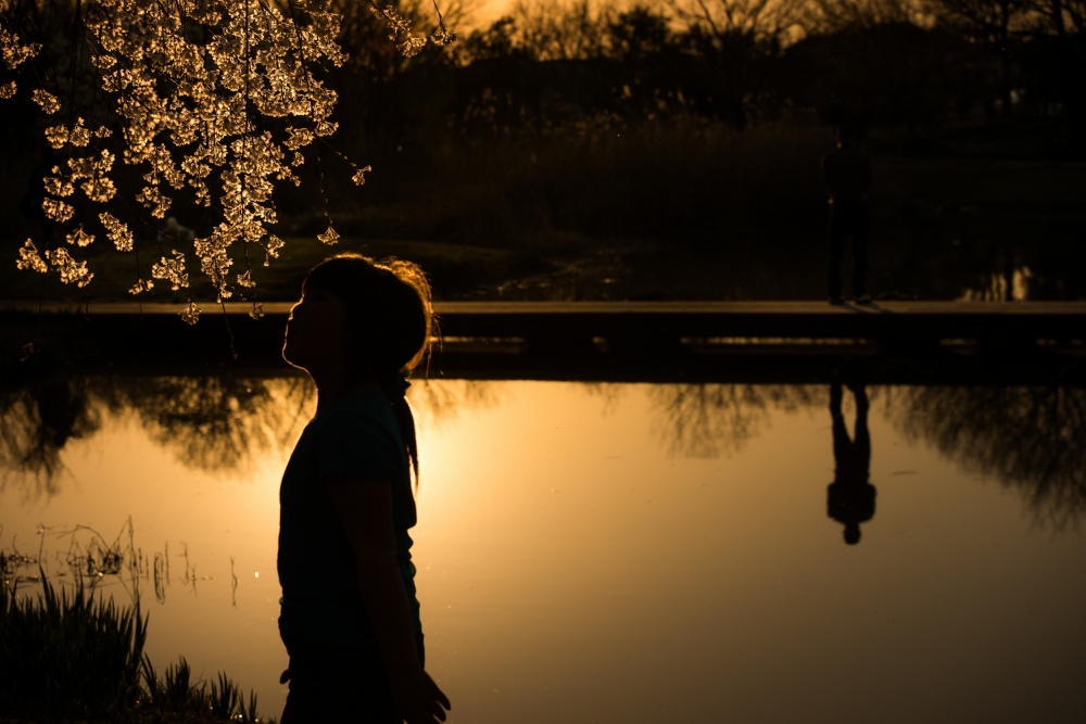 sunset von Kouji Tomihisa