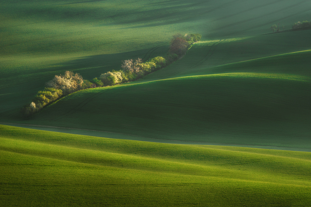 Moravian fields von Krasi Matarov