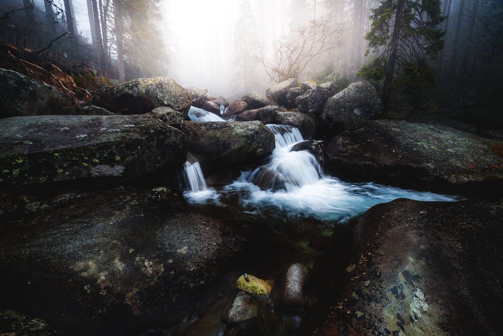 Forest stream - High Tatras von Kristian Potoma