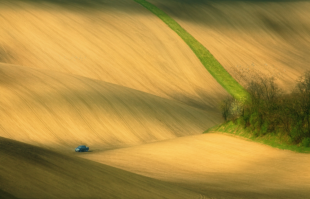 Pick-up... von Krzysztof Browko