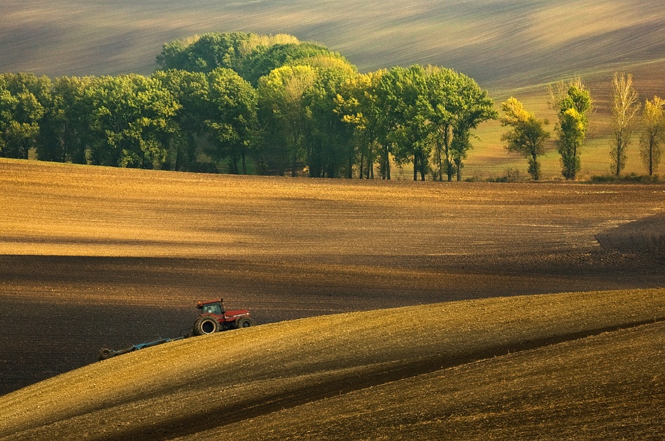 On waves... von Krzysztof Browko