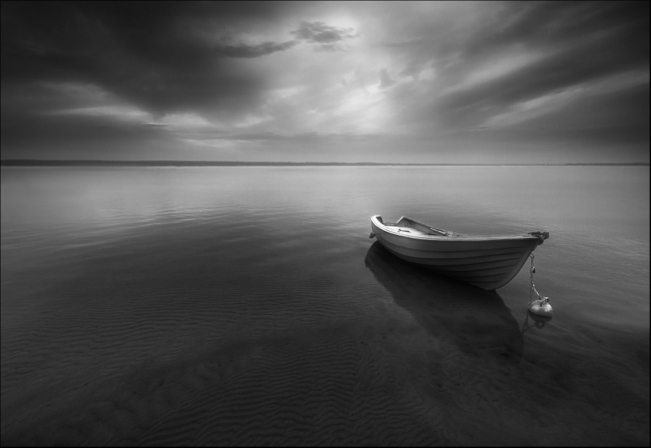 Lonely... von Krzysztof Browko