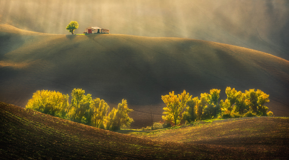 Fields... von Krzysztof Browko