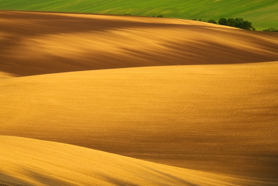 Fields... von Krzysztof Browko