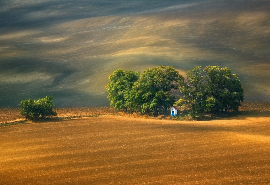 Fields... von Krzysztof Browko